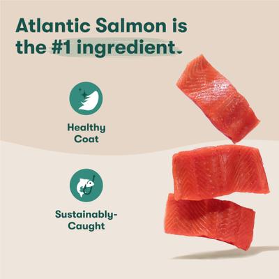 Show full view: Jinx Salmon, Sweet Potato & Carrot ALS Kibble Dog Dry Food, 30-lb bag slide 3 of 13