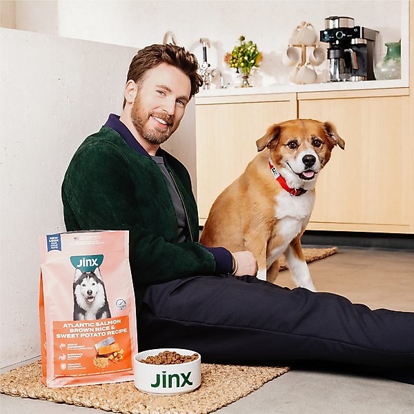 Jinx Salmon, Sweet Potato & Carrot ALS Kibble Dog Dry Food