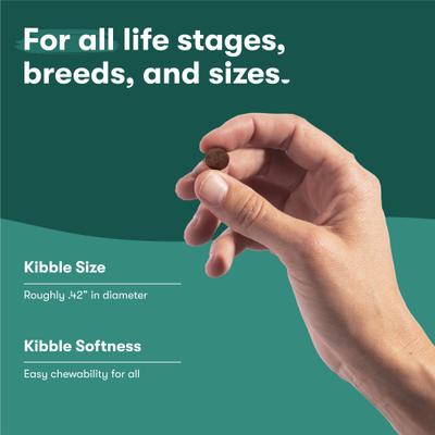 Show full view: Jinx Chicken, Sweet Potato & Carrot ALS Kibble Dog Dry Food, 30-lb bag slide 9 of 13