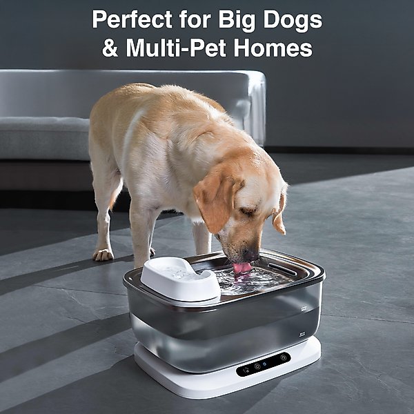 Show full view: INSTACHEW H2Fresh Max Dog & Cat Fountain, Grey, Large: 7-L slide 2 of 6