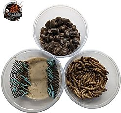 ABDragons Dubia Roach Hornworm & Superworm Live Feeder Combo Reptile Food, Large