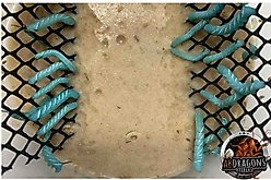 ABDragons Live Hornworms Reptile, Bird, Fish & Small Pet Food, 25 count