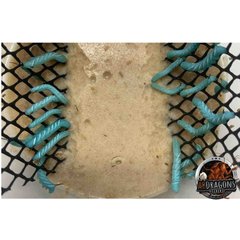 ABDragons Live Hornworms Reptile, Bird, Fish & Small Pet Food, 75 count