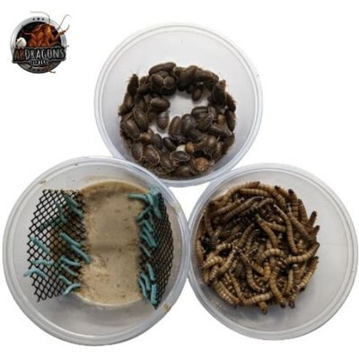 ABDragons ABDragons Dubia Roach Hornworm & Superworm Live Feeder Combo Reptile Food, Medium