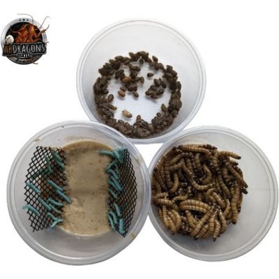 ABDragons ABDragons Dubia Roach Hornworm & Superworm Live Feeder Combo Reptile Food, Small