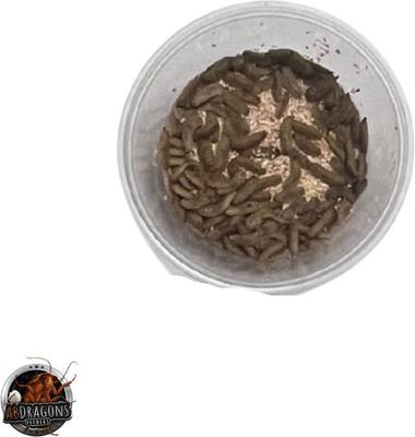 Show full view: ABDragons 2 Week Leopard Gecko Meal Plan, Adult slide 2 of 6