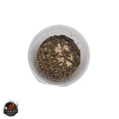 Show full view: ABDragons Live Black Soldier Flies Larvae Reptile, Bird, Fish & Small Pet Food, Medium, 1000 count slide 2 of 3