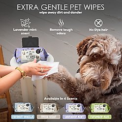 Precious Tails Live. Love. Wash. Dog Grooming Wipes, Lavender Mint Scented, 120 count slide 2 of 6