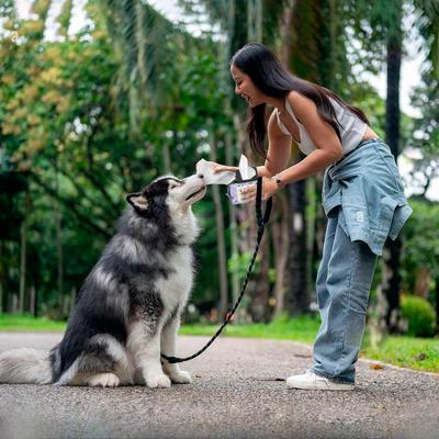 Show full view: Precious Tails Live. Love. Wash. Dog Grooming Wipes, Lavender Mint Scented, 120 count slide 2 of 6