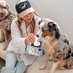 Precious Tails Live. Love. Wash. Dog Grooming Wipes, Coconut Vanilla Scented, 120 count slide 2 of 6