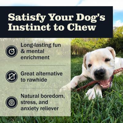 Show full view: Redbarn Naturals Bully Stick 12" Dog Treat, 2 count slide 4 of 10