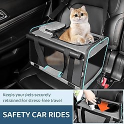 Gapzer Airline Approved Soft-Sided Dog & Cat Carrier Bag, Grey, 17 x 11 x 11-in slide 2 of 8