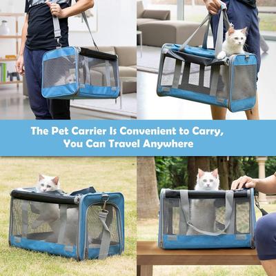 Show full view: Gapzer Soft-Sided Collapsible Dog & Cat Carrier Bag, Blue slide 6 of 10