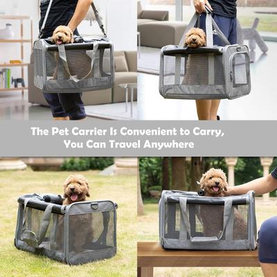 Show full view: Gapzer Soft-Sided Collapsible Dog & Cat Carrier Bag, Grey slide 7 of 9