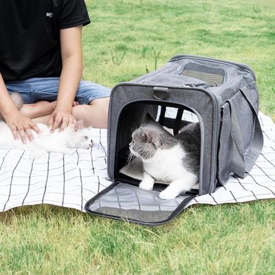 Show full view: Gapzer Soft-Sided Collapsible Dog & Cat Carrier Bag, Grey slide 6 of 9
