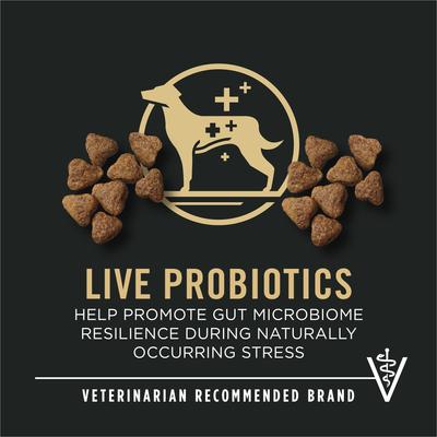 Show full view: Purina Pro Plan Sport Performance All Life Stages High-Protein 30/20 Turkey, Duck & Quail Formula Dry Dog Food, 6-lb bag slide 4 of 11