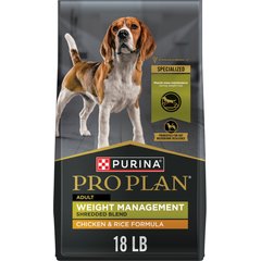 Is There a Difference between Adult And Senior Dog Food? Key Facts!