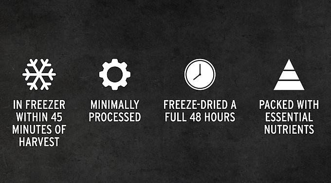In freezer within 45 minutes of harvest. Minimally processed. Freeze-dried a full 48 hours. Packed with essential nutrients.