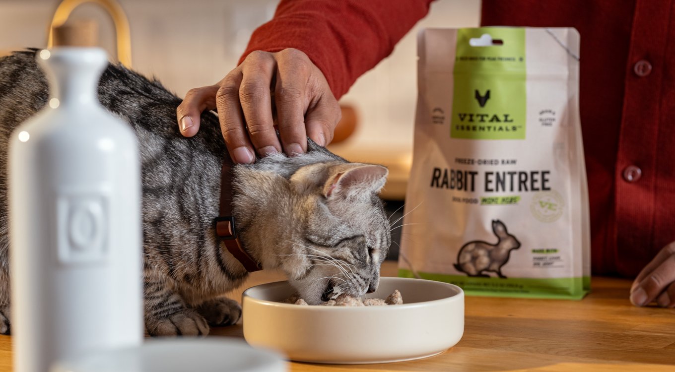 Vital Essentials Freeze-Dried Raw Pork Entree & Mixer Soft Nibs Cat Food
