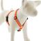 Show in main carousel: LupinePet Reflective Diamonds Adjustable Dog Harness, Orange, X-Large: 36 to 44-in chest slide 1 of 6