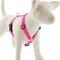 Show in main carousel: LupinePet Reflective Diamonds Adjustable Dog Harness, Pink, X-Large: 36 to 44-in chest slide 1 of 6
