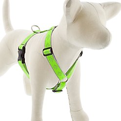 LupinePet Reflective Diamonds Adjustable Dog Harness, Green, Large: 24 to 38-in chest
