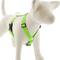 Show in main carousel: LupinePet Reflective Diamonds Adjustable Dog Harness, Green, Large: 24 to 38-in chest slide 1 of 6