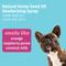Show in main carousel: Hempz Petz Deodorizing Dog Shampoo, Creamy Citrus Orange & Red Raspberry Scent, 17-fl oz bottle + Creamy Citrus Orange Red Raspberry Deodorizing Cologne Spray, 8.5-fl oz bottle slide 9 of 9