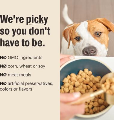 Show full view: The Honest Kitchen Human Grade Grain-Free Chicken Whole Food Clusters Dry Dog Food, 5-lb bag slide 8 of 13