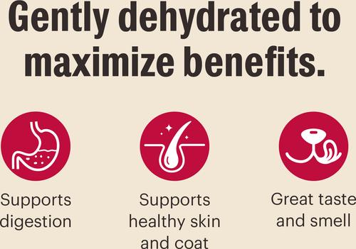 Show full view: The Honest Kitchen Human Grade Wholemade Whole Grain Turkey Dehydrated Dog Food, 10-lb box slide 5 of 12