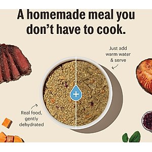 The Honest Kitchen Whole Grain Chicken Recipe Dehydrated Dog Food, 10-lb box
