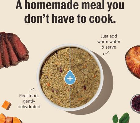 Show full view: The Honest Kitchen Human Grade Wholemade Whole Grain Turkey Dehydrated Dog Food, 10-lb box slide 6 of 12