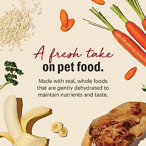 The Honest Kitchen Whole Grain Chicken Recipe Dehydrated Dog Food, 10-lb box