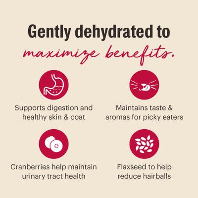 Show full view: The Honest Kitchen Human Grade Dehydrated Chicken & Fish Grain-Free Cat Food, 2-lb box slide 5 of 10