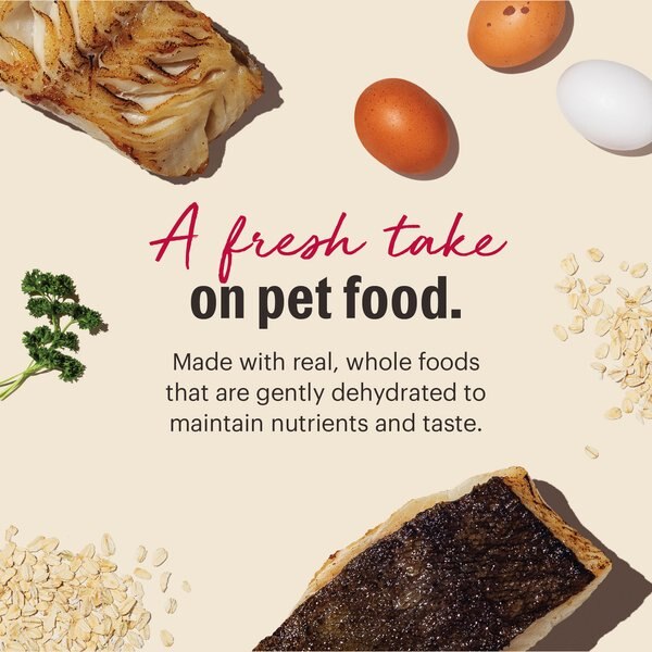 The Honest Kitchen Wholemade Whole Grain Fish & Oats Dehydrated Dog Food