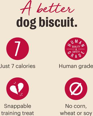 Show full view: The Honest Kitchen Human Grade Parmesan Pecks Duck, Parmesan & Cherry Recipe Dog Treats, 8-oz bag slide 7 of 11