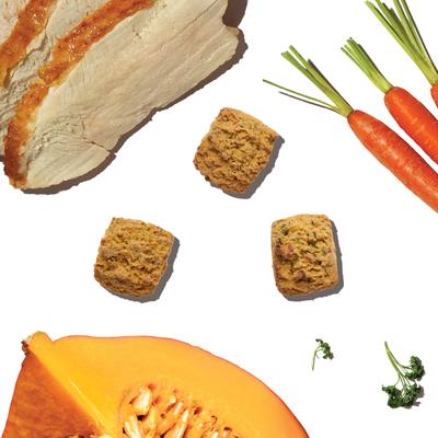 Show full view: The Honest Kitchen Human Grade Bone Broth Bites Roasted with Turkey Bone Broth, Pumpkin & Parsley Dog Treats, 8-oz bag slide 5 of 12