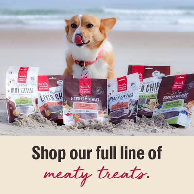 Show full view: The Honest Kitchen Human Grade Surf & Turf Meaty Littles Slow Roasted Beef & Salmon Recipe Dog Treats, 4-oz bag slide 6 of 12