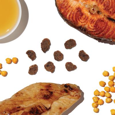 Show full view: The Honest Kitchen Human Grade Surf & Turf Meaty Littles Slow Roasted Chicken & Salmon Recipe Dog Treats, 4-oz bag slide 5 of 12