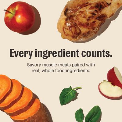 Show full view: The Honest Kitchen Human Grade One Pot Stews Slow Cooked Chicken Stew Wet Dog Food, 10.5-oz, case of 6 slide 7 of 9