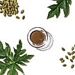 Show in main carousel: The Honest Kitchen Perfect Form Herbal Digestive Dog & Cat Supplement, 3.2-oz jar slide 4 of 10