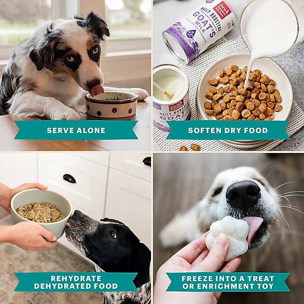 Show full view: The Honest Kitchen Daily Boosters Instant Goat's Milk with Probiotics for Dogs, 5.2-oz jar slide 6 of 11