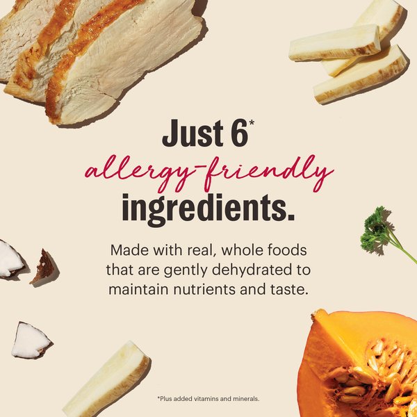 The Honest Kitchen Wholemade Limited Ingredient Turkey Dehydrated Dog Food