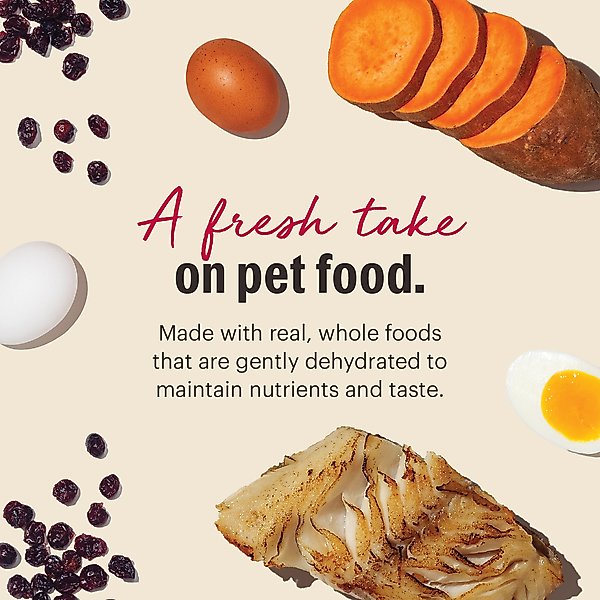 Show full view: The Honest Kitchen Wholemade Grain-Free Fish Dehydrated Dog Food, 10-lb box slide 9 of 13