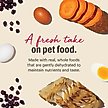 Show in main carousel: The Honest Kitchen Wholemade Grain-Free Fish Dehydrated Dog Food, 10-lb box slide 9 of 13