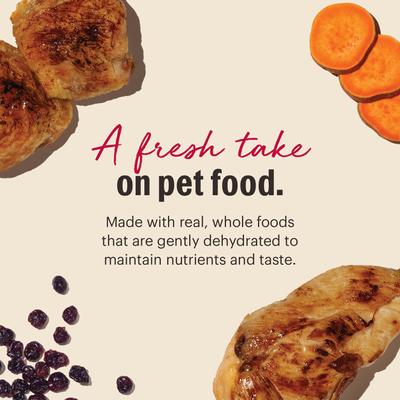 Show full view: The Honest Kitchen Human Grade Dehydrated Grain-Free Chicken Cat Food, 4-lb slide 7 of 9