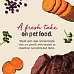 Show in main carousel: The Honest Kitchen Wholemade Grain-Free Beef Dehydrated Dog Food, 10-lb box slide 9 of 13