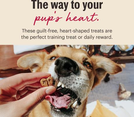 Show full view: The Honest Kitchen Human Grade Parmesan Pecks Duck, Parmesan & Cherry Recipe Dog Treats, 8-oz bag slide 8 of 11