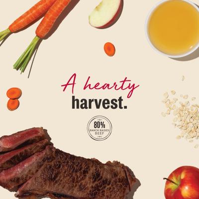 Show full view: The Honest Kitchen Human Grade Jerky Harvest Mini Bars Beef Recipe with Carrots & Apples Dog Treats, 4-oz bag slide 8 of 12