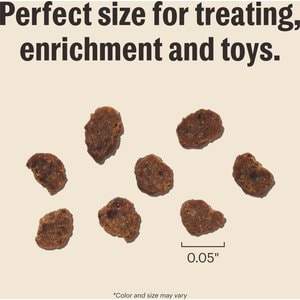 The Honest Kitchen Human Grade Surf & Turf Meaty Littles Slow Roasted Beef & Salmon Recipe Dog Treats, 4-oz bag